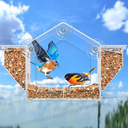 Mangeoire pour oiseaux extérieure suspendue : distributeur perruches - 4