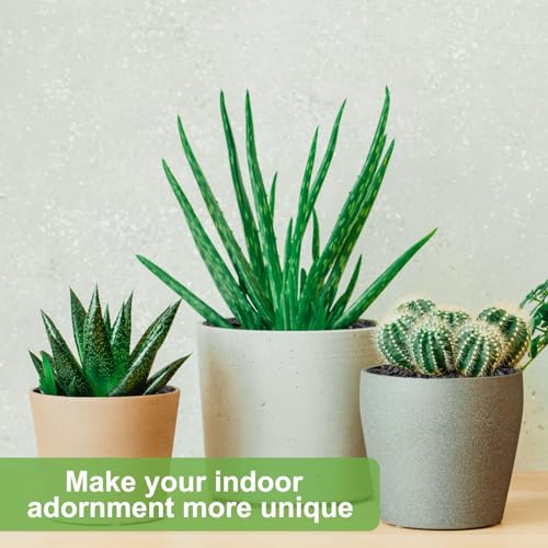 Image of 5 lbs Pebbles for Indoor Plants, Succulent, Cactus, 1 /5 Inch Small Lava Rock for Plants Drainage, Natural Horticultural Volcanic Rock, Top-Dressing