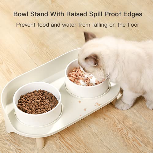 13 Best Elevated Cat Bowls for Good Posture (2023 Reviews)