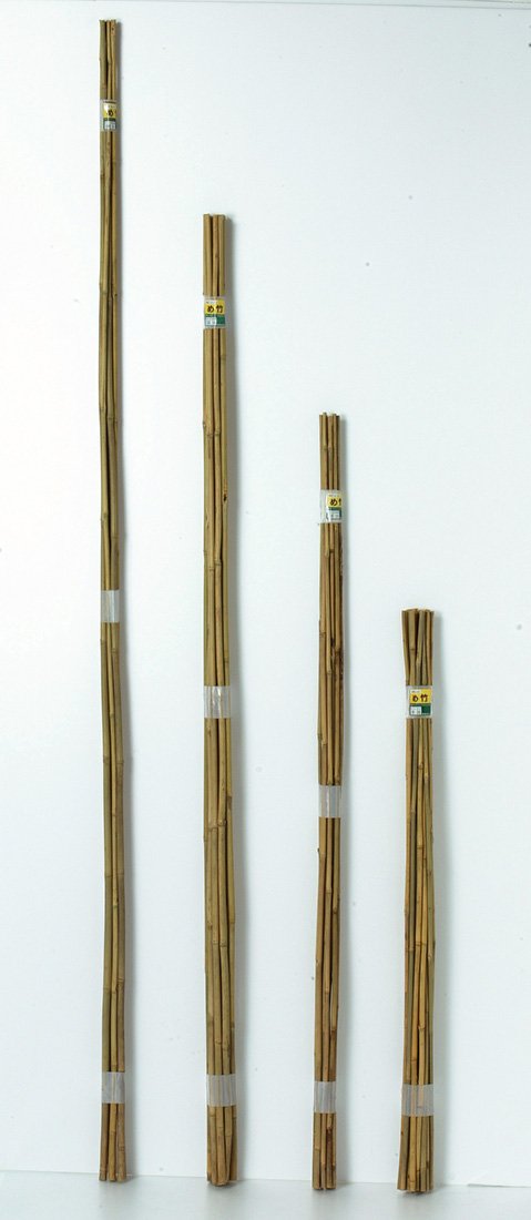 coco shop様 90センチ竹 20本 (^.^) Amazon | タカショー(Takasho) め竹90cm 20本束 | 支柱