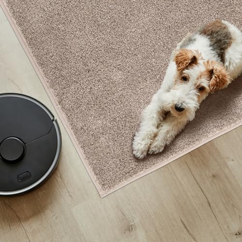 PURRUGS Easy Care Area Rug 4ft x 6ft, Non-Slip Machine Washable Entryway Rug, Dog Door Mat, Stain Resistant Accent Rug for Hallway, Living Room, Bedroom and Mudroom, Taupe