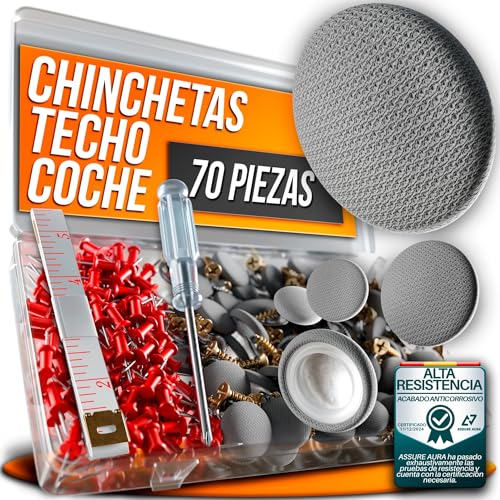 Assure Aura Kit 70 Chinchetas Techo Coche Gris – Repara Techo Caído Rápido y Fácil – Incluye Hebillas, Tornillos, Destornillador y Metro – Chinchetas Tapicería Coche