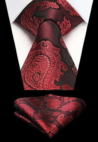 Image of HISDERN Ties for Men Paisley Tie and Pocket Square Woven Classic Floral Mens Ties Handkerchief Set Wedding Party Necktie
