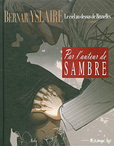 Le ciel au-dessus de Bruxelles...: [après] (2)