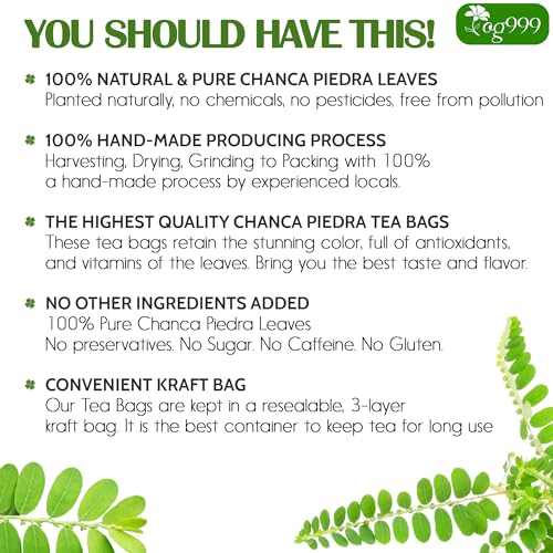 Image of TOG999, Premium 60 Chanca Piedra Leaf Tea Bags, 100% Natural & Pure from Chanca Piedra Leaves. Loose Leaf Chanca Piedra Herbal Tea. Made with Natural Material Tea Bags. No Sugar, No Caffeine, No Gluten, Vegan.