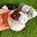 Basuo-9Q 3 Pcs Assorted Color Realistic Hamster Figurines Plush Toys – Lifelike Guinea Pig Stuffed Animals, Home Decor, Kids Gift, Party Favors, Rodent Photo Props