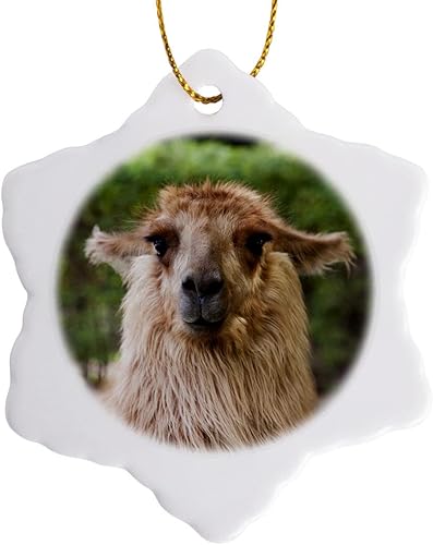 3dRose ORN_85812_1 Argentina, Mendoza, Llama at Club Tapiz - SA05 BJA0045 - Galería Jaynes - Adorno de copo de nieve, porcelana, 3 pulgadas