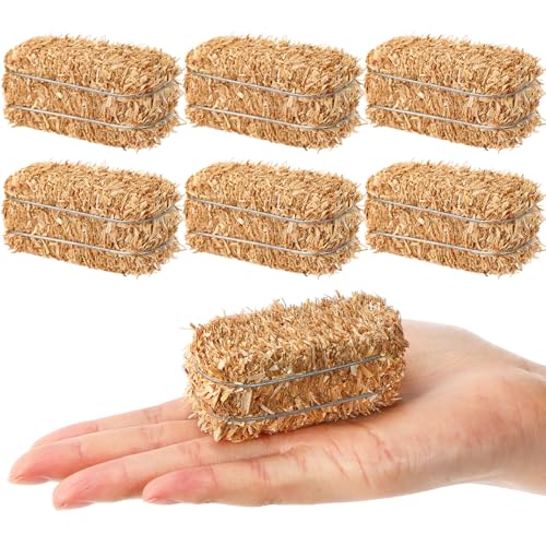 Maasechs 6 Pcs Mini Hay Bales Miniature Hay Bales for Decoration Small Decorative Straw for Christmas Nativity Scene, Western Themed Party Decorations (2.6 x 1.2 x 1.2 Inch)