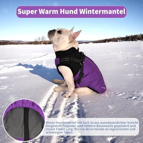 Wunive Hundemantel Hundejacke Winter Wasserdichter Hundemantel Kleiner Hundemantel Welpen Harness Hundemantel Warme Hundejacke Hundemantel mit Geschirr Built in 2 in 1 für kleine mittlere große Hunde