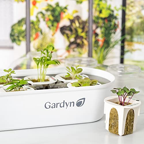 Gardyn Indoor Garden Nursery For Indoor Germination For Hydroponic Growing Systems | Germination Tray Works With Gardyn 1.0, 2.0, & 3.0 Indoor Garden Hydroponics Growing System Vertical Garden Planter #TOP7