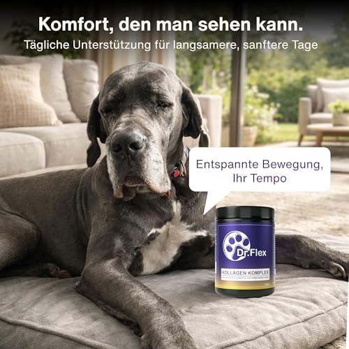 Dr. Flex Kollagen B‑Komplex Pulver für Hunde, Hochdosiert für Gelenke, Knorpel, Muskeln Vitalität mit Rinder Meereskollagen, Glucosamin, Hyaluronsäure essenziellen Vitaminen