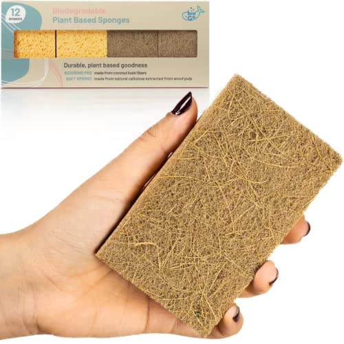 bioGo 12 Biodegradable Sponges Kitchen Eco Reusable Cellulose Sponges