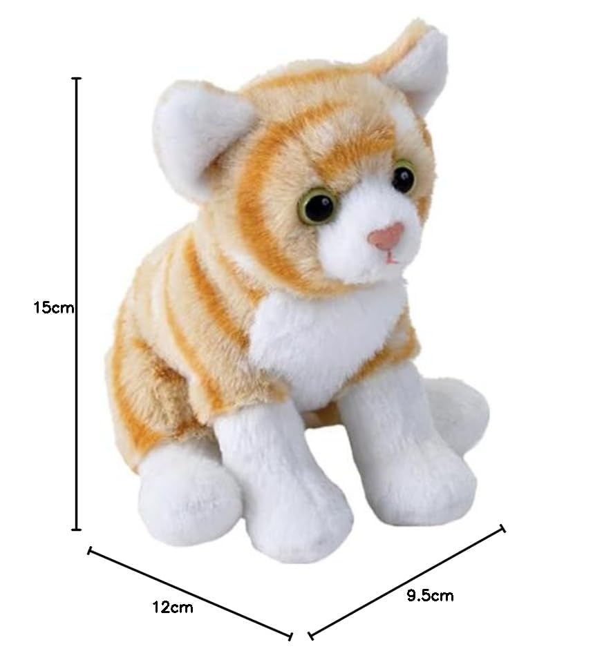 Amazon.com: Wild Republic Pocketkins Eco Orange Tabby Cat, Stuffed