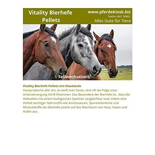 Bierhefe Pellets Vitality - mit Klinoptilolith, Fellwechsel, Vitamin B, Ergänzungsfutter für Pferde (1000 g)