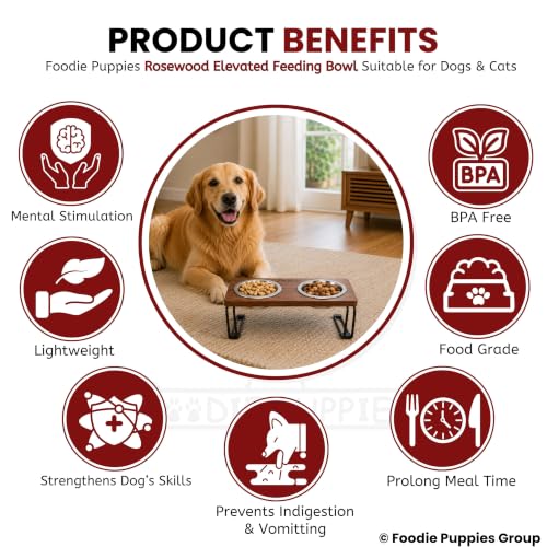 Image of Foodie Puppies Elevated Rosewood 2-in-1 Dog & Cat Feeder with Dual Stainless Steel Bowls (250ml Each) | Raised Wooden Feeding Stand | Anti-Slip Metal Legs | Food & Water Bowl