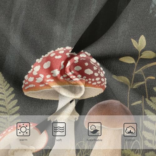 Hipster Panties Breathable Panties Organic Underpants for Baby Girls in Sizes 2T,3T, 4T, 5T, 6Y and 8Y3