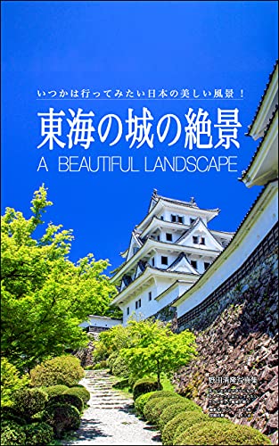東海の城の絶景: 日本の美しい風景
