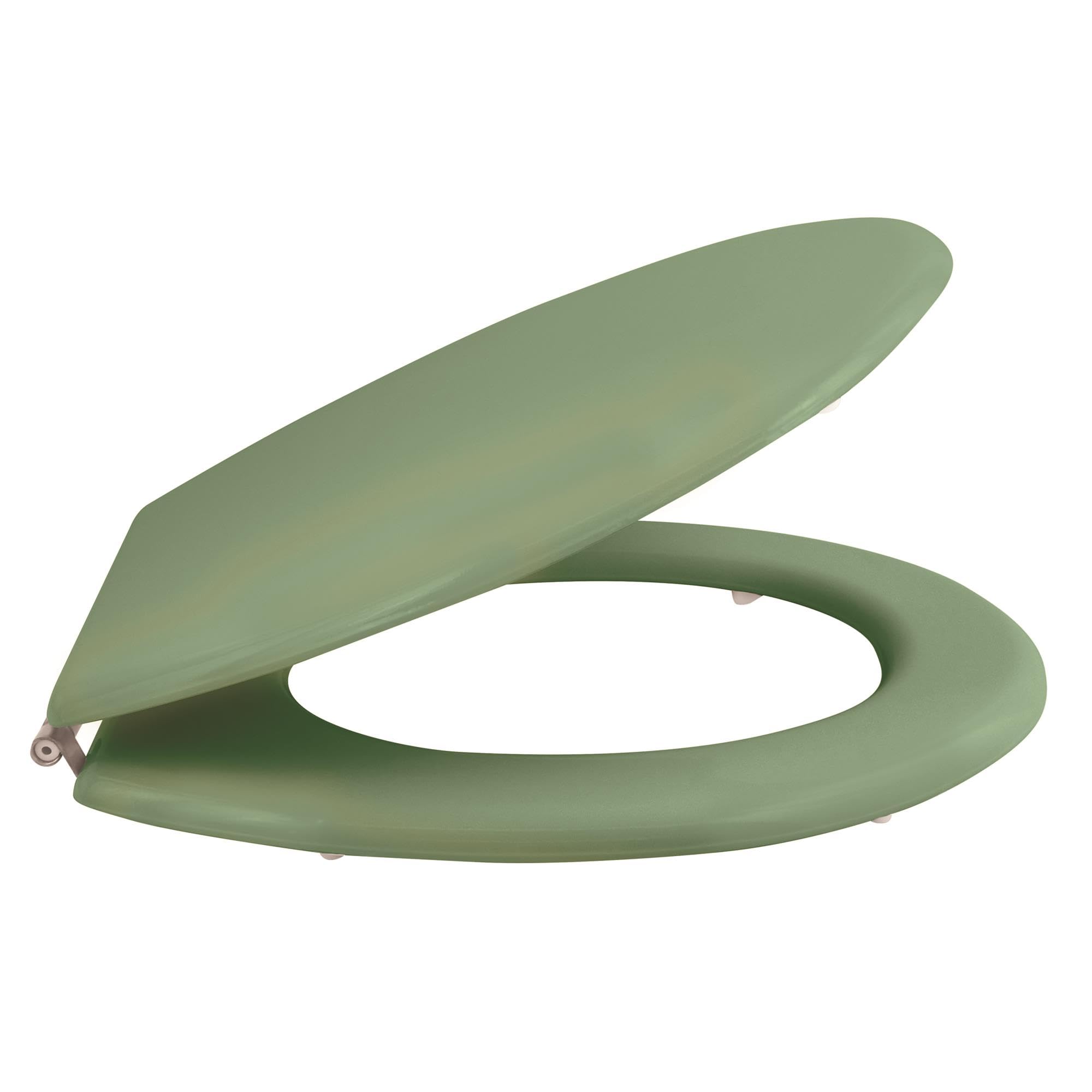 Well Home Asiento WC, con bisagras acero inoxidable, acabado, color albahaca