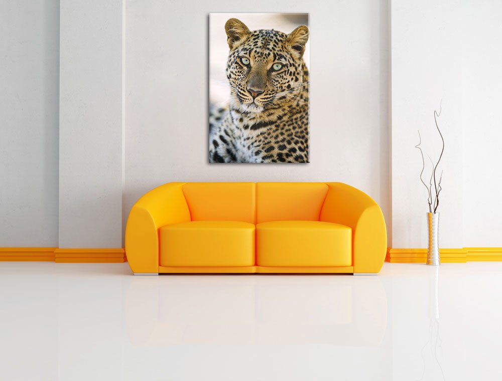 Leinwandbild „Anmutiger Tiger“ | 60x40 Cm, Fertig Auf Keilrahmen Gespannt, Made In Germany