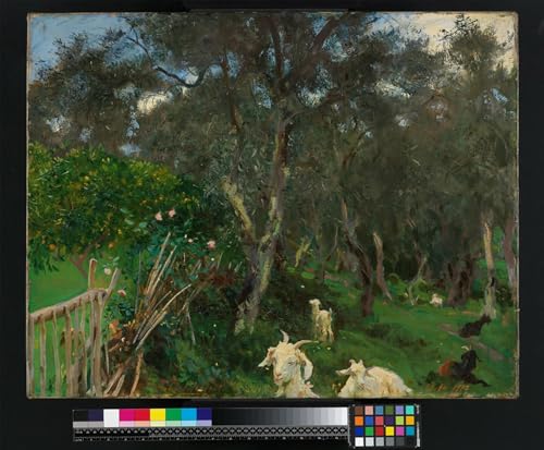 Pintura al óleo para salón modernos, cuadro decorativo de Sargent en lienzo 60x90cm