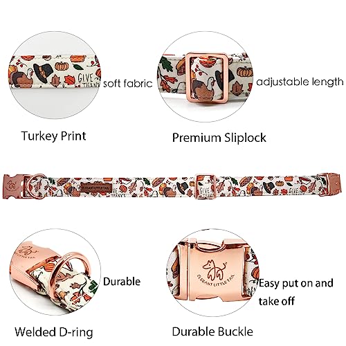 Collier pour chien de l'Action de grâce avec boucle réglable et sangle durable