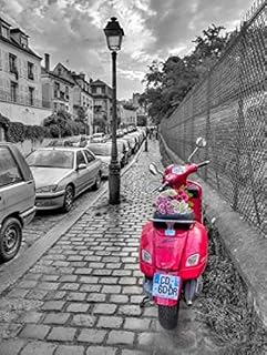 Posterazzi Bunch of Roses on scooter Paris France Poster Print by Assaf Frank, (9 x 12)