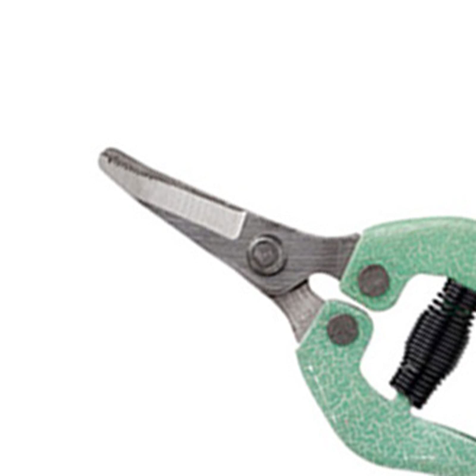 Ciseaux de Taille de Plantes, Coupe-Jardin, Outils de Jardinage, cisailles à Fleurs, sécateur, Outil de Taille à Main, 1 pièce