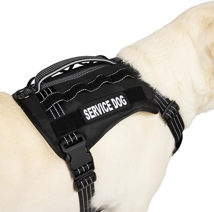 YOULY by Petco Tactical Service Dog Harness Black XX-Large/3X-Large