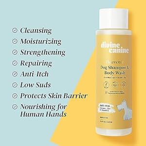 Heavenly Dog Shampoo  Body Wash  Antiitch  Dog Shampoos  Ph Balanced Conditioning Dog Bath Blend with Collagen Aloe Coconut Milk Vitamin E  Soothe Itchy Skin  Coat  135oz  Cucciolini Doodles Heavenly dog shampoo  body wash  anti itch  dog shampoos  ph balanced conditioning dog bath blend with collagen aloe coconut milk vitamin e  soothe itchy skin  coat  13 5oz   cucciolini doodles
