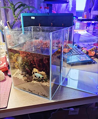 Awxzom 1.2 Gallon Nano Tall Rimless Aquarium, Tall Fish Tank, Small High Aquarium,High Fish Tank, Small Tall Aquarium, Low Iron Rimless Glass Tank (1.2 Gallon 7.8 X 5.9 X 5.9Inch) #TOP7
