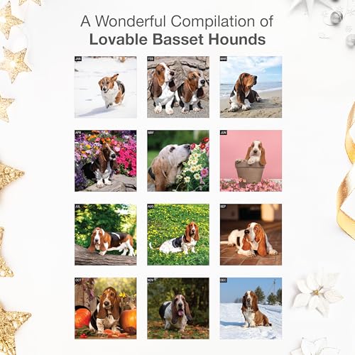Image of RED EMBER Basset Hounds 2026 Wall Calendar 12 Month | 12 inch x 24 inch Open | Thick & Sturdy Paper | Holiday Gift | Cute Puppy Dog Calendar 2026
