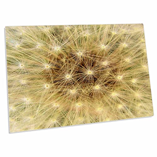 3dRose Beige Brown Pastel Dandelion - Desk Pad Large miniatura 1