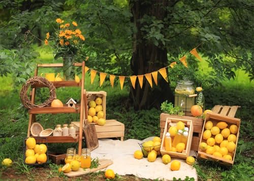 Fondo fotográfico Lemon 10x8ft para picnic y eventos miniatura 1