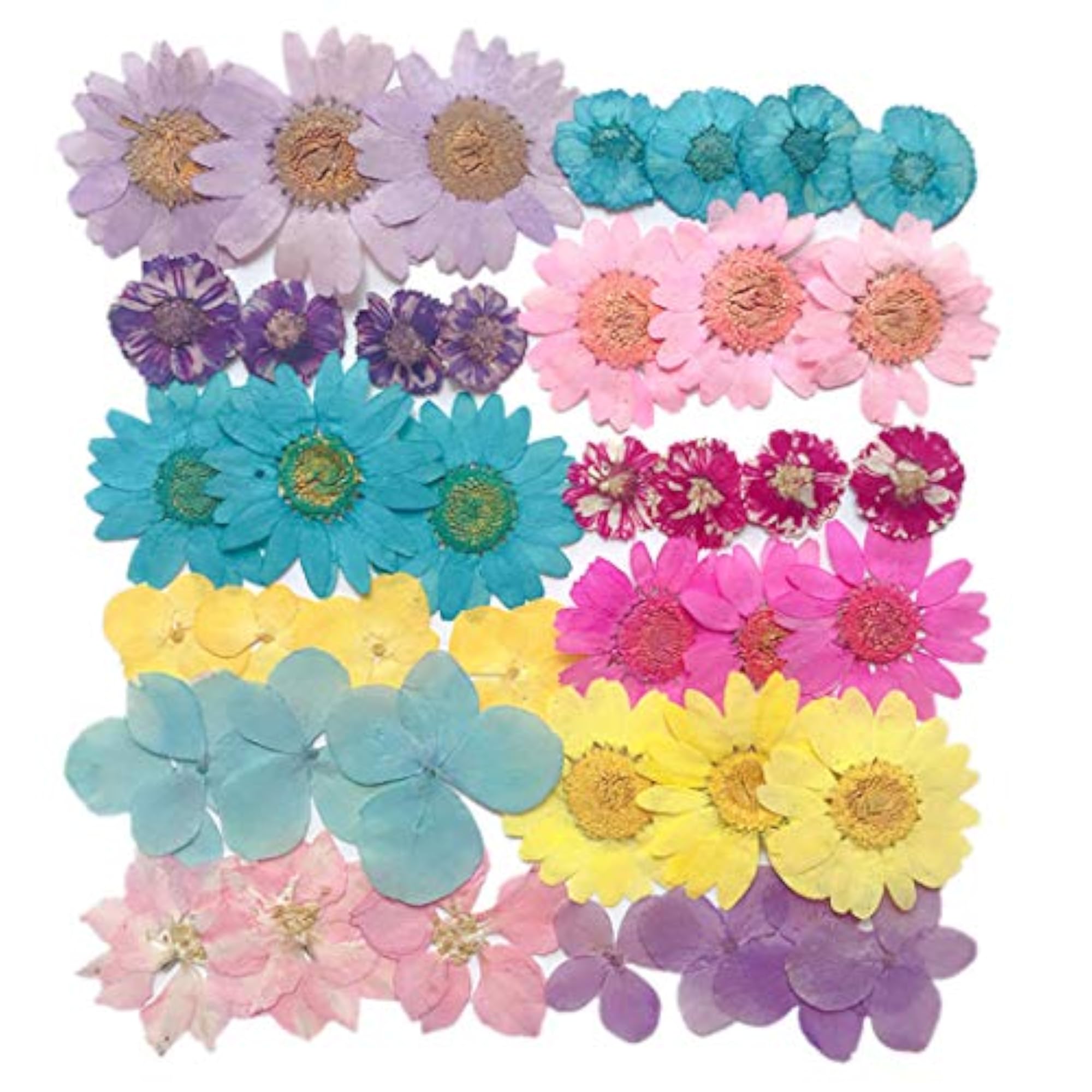 Dried Flower Kit Assorted Dried Pressed Flowers for Crafts