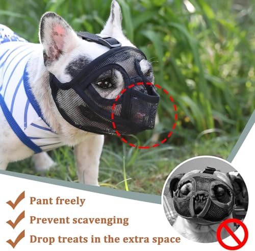 Mayerzon Maulkorb für Hunde mit kurzer Schnauze für Französische Bulldogge mit voller Hose, um das Fressen von Beißen zu verhindern, weicher Netzmaulkorb für Shih Tzu Mops, englische Bulldogge für