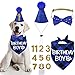 STMK Dog Birthday Party Supplies, Multi Sizes Dog Birthday Hat with Numbers Bandana Bow Tie for Small Medium Dogs Pets (Small, Blue)