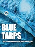 Blue Tarps: This is Over Six Months After Hurricane Michael