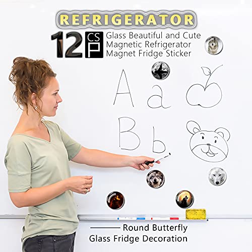 12 imanes decorativos de vidrio para refrigerador miniatura 6