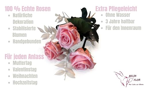 Handgebundener Rosenstrauß mit 3 Rosen und Ruscus - Echte ewige Rosen 3 Jahre haltbar – Rosen mit Stielen Höhe 26 cm - Made in Germany (Rosa)
