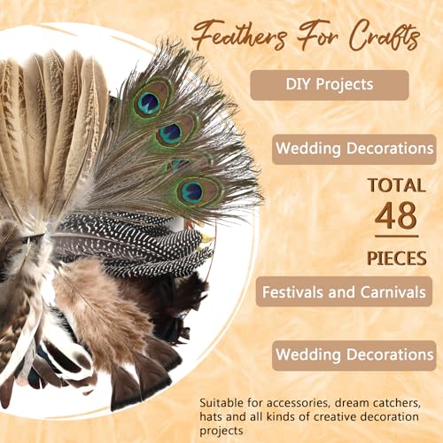 Deepton 48 Stück Federn, Federn zum Basteln, Bastelfedern 5 Stile Deko Bastelfedern, Gemischte Natürliche Fasanenfedern für DIY-Projekte, Hüte, Masken und Festdekorationen