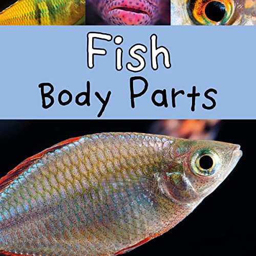Fish Body Parts by Clare Lewis episode artwork