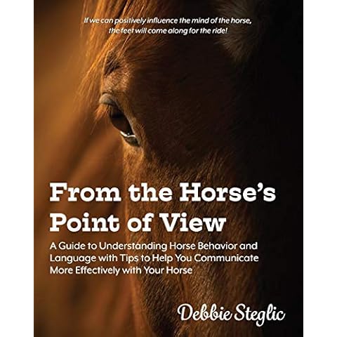 From the Horse's Point of View Cover