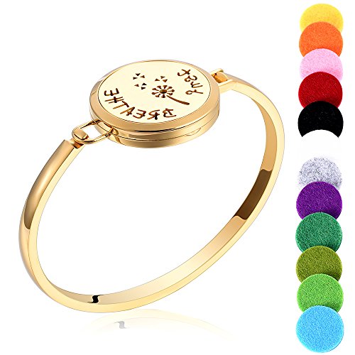 memorial jewelry Aromatherapy/Essential Oil Diffuser Locket Bracelet Stainless Steel Band with 12 Color Pads