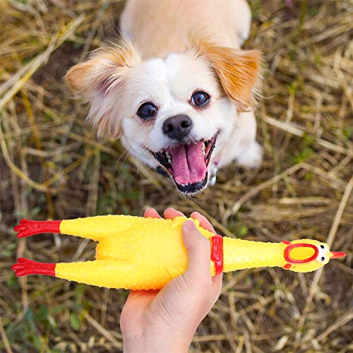 Nobleza - Hundespielzeug Rubber Screaming Chicken Yellow Quietschende Dekompression Kleines Spielzeug zum Reinigen der Zähne