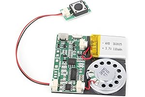 Press-Button Control Activated Voice Recorder Module: Record Your Own Messages and Customize Your Creations