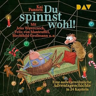 Du spinnst wohl! Eine außergewöhnliche Adventsgeschichte in 24 Kapiteln Titelbild
