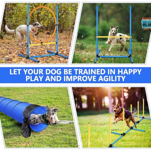 Kit de démarrage pour parcours d'obstacles pour chiens complet