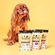 Pooch & Mutt - Kleine Training Dental Sticks für Hunde Mit Erdnussbuttergeschmack, 1 Packung Mit 7 Sticks