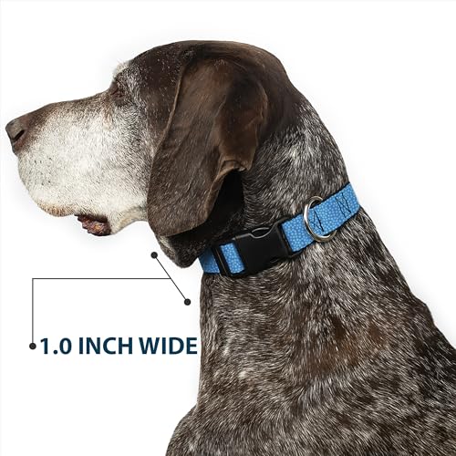 Collier pour chien Petites Fleurs Bleu Blanc réglable 9-38cm - 7