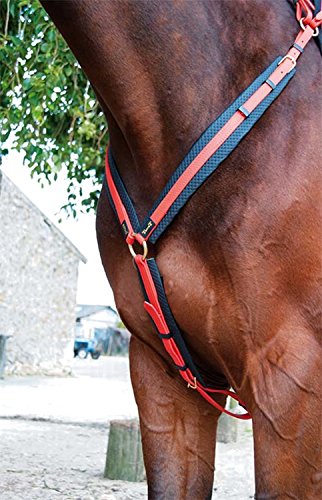 TdeT Biotack Pechopetral, Naranja